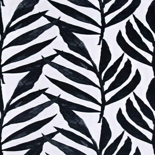 Fern