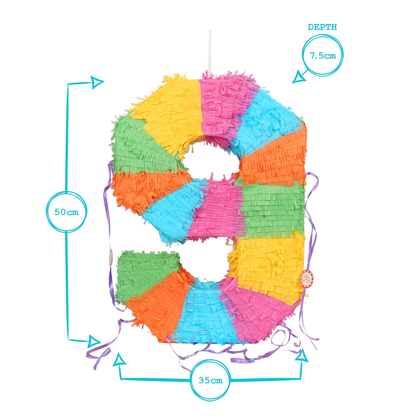 Large Number 9 Pinata Party Set