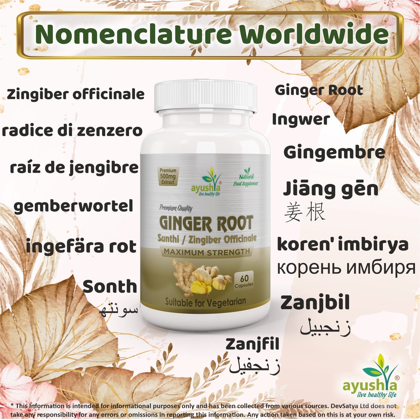 Ayushya Ginger Capsules (Adrak, Sunthi) Digestive Comfort Support - Vegan, Gluten Free, Non-GMO, 60 Capsules