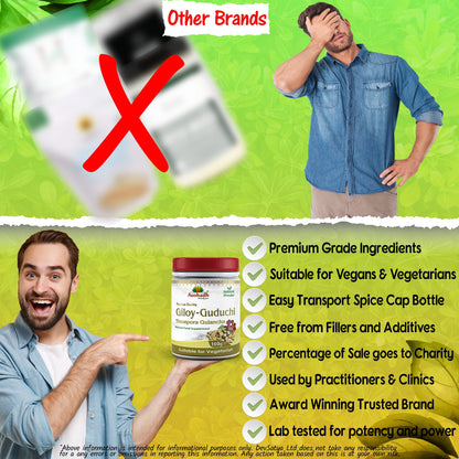 Aushadh Guduchi Powder 100 gram - Daily Wellness Support