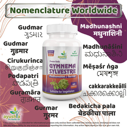 Ayushya Gymnema Sylvestre with Black Pepper Capsules (Madhunaashini, Gurmar) Glucose Wellness Support - Vegan, Gluten Free, Non-GMO, 60 Capsules
