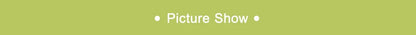 2 in 1 12V 150w Suction Cup Car Heater Windshield Defrost Defogger Car Heat Cool 360° Rotatable Car Accessories Portable Heater