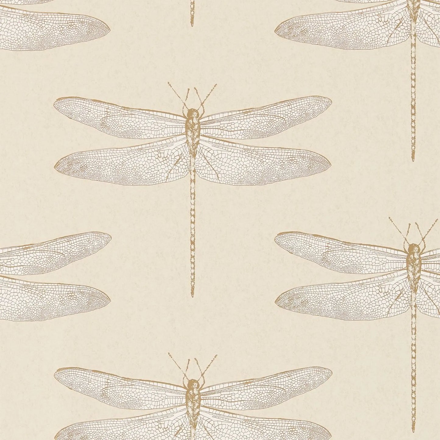 Demoiselle