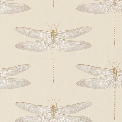 Demoiselle