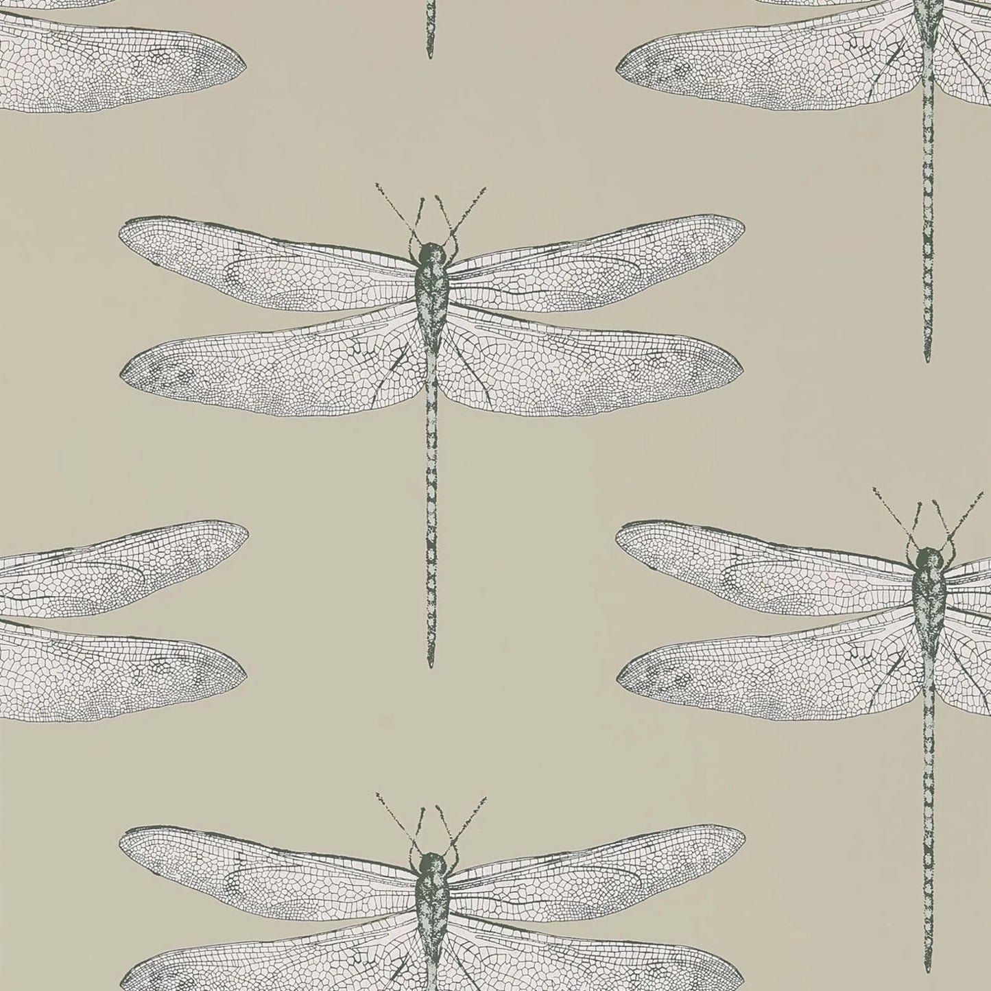Demoiselle