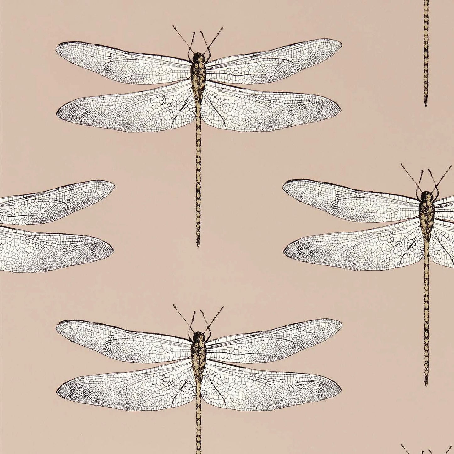 Demoiselle