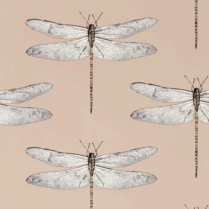 Demoiselle