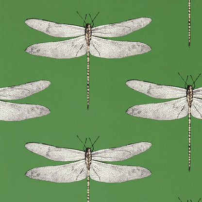 Demoiselle