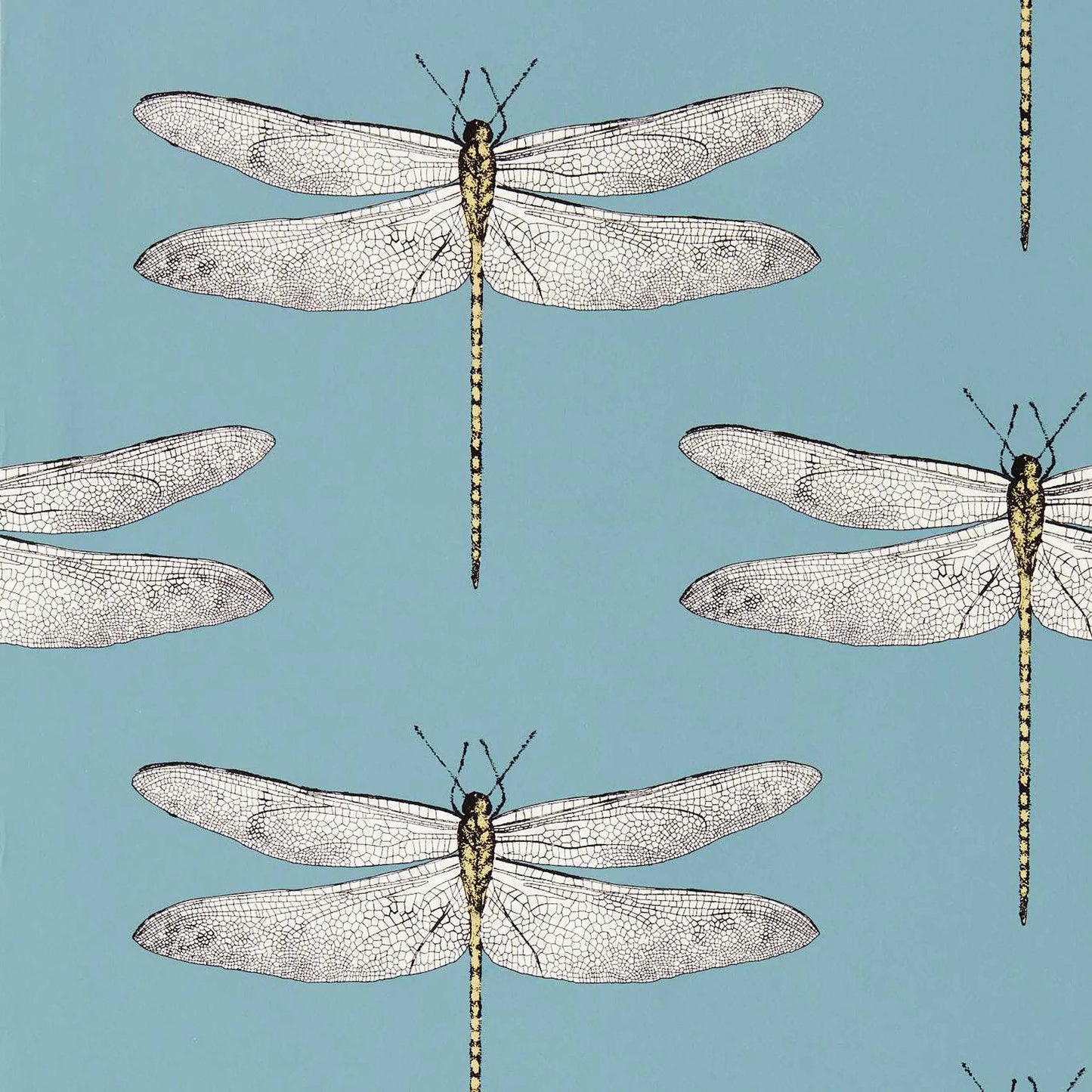 Demoiselle