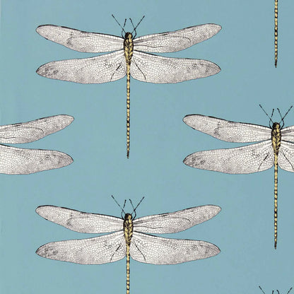 Demoiselle