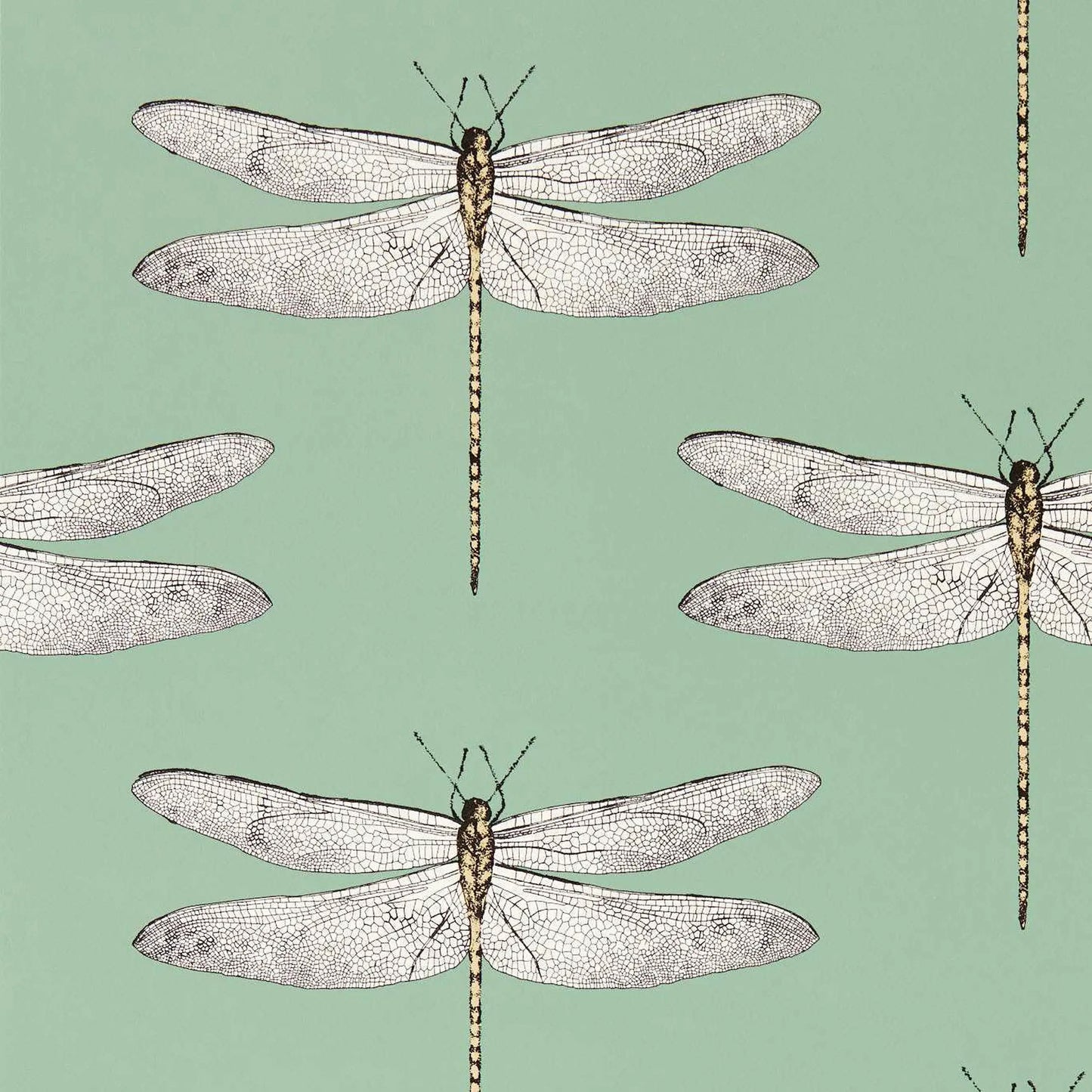 Demoiselle