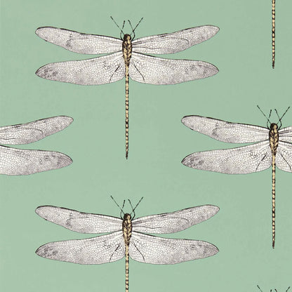 Demoiselle