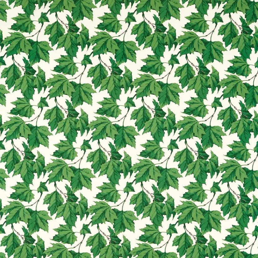 Dappled Leaf