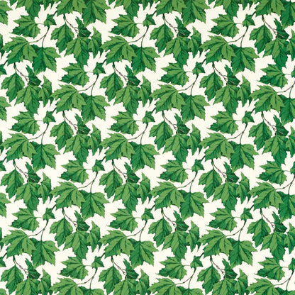 Dappled Leaf