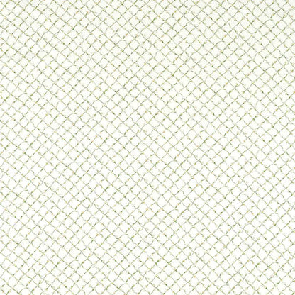 Daisy Trellis