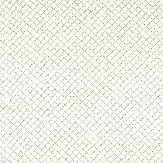 Daisy Trellis