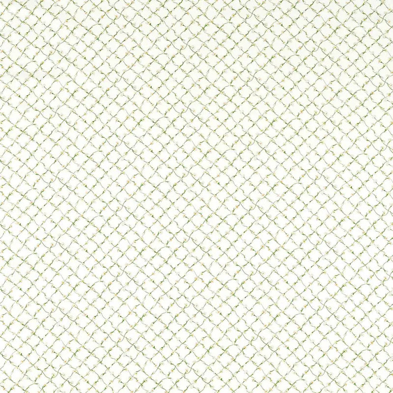 Daisy Trellis
