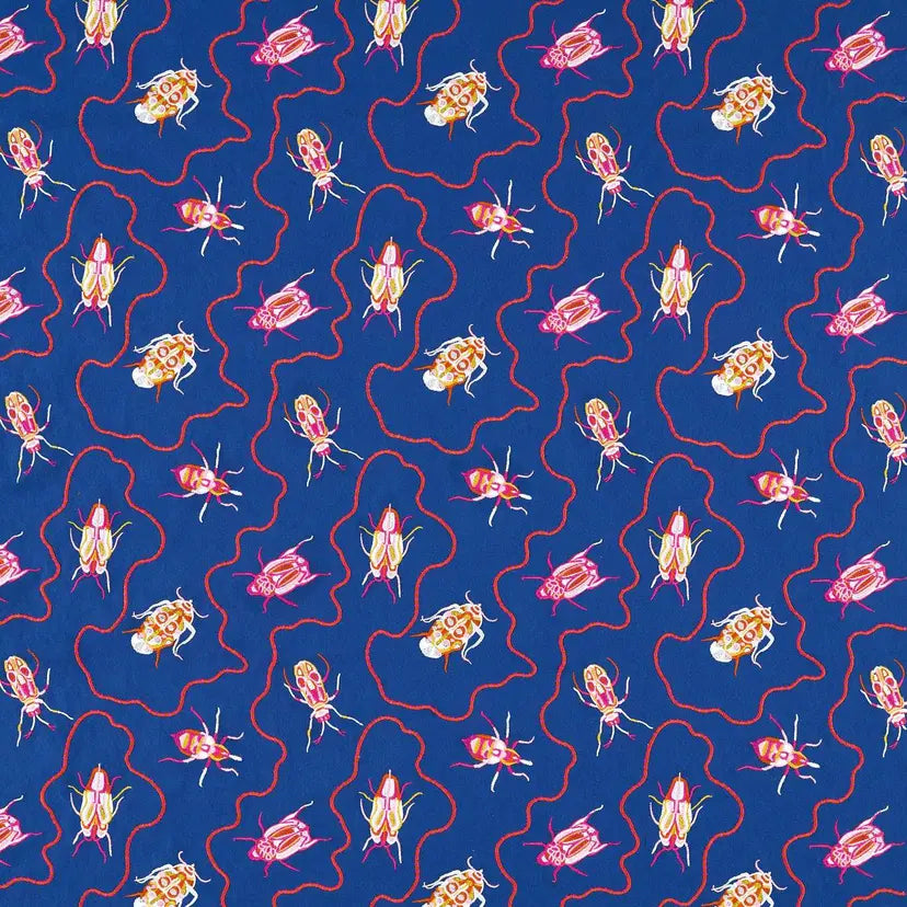 Jewel Beetles