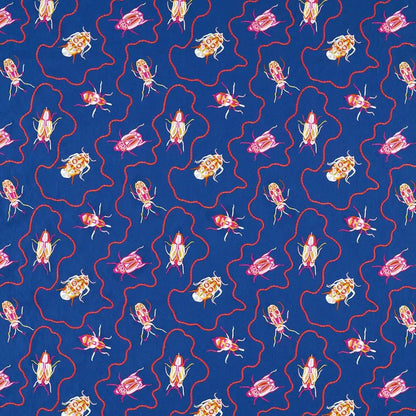 Jewel Beetles