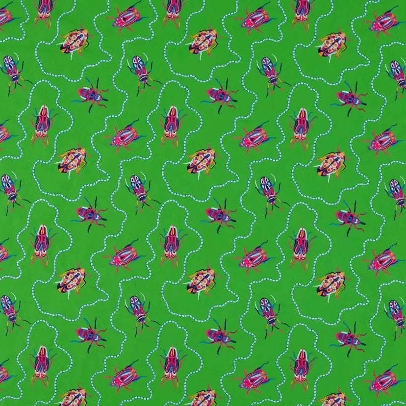 Jewel Beetles
