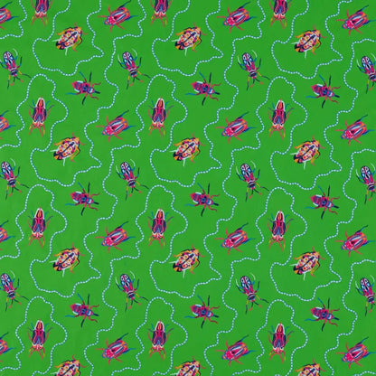 Jewel Beetles