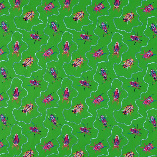 Jewel Beetles