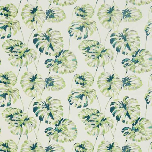 Kelapa Fabric