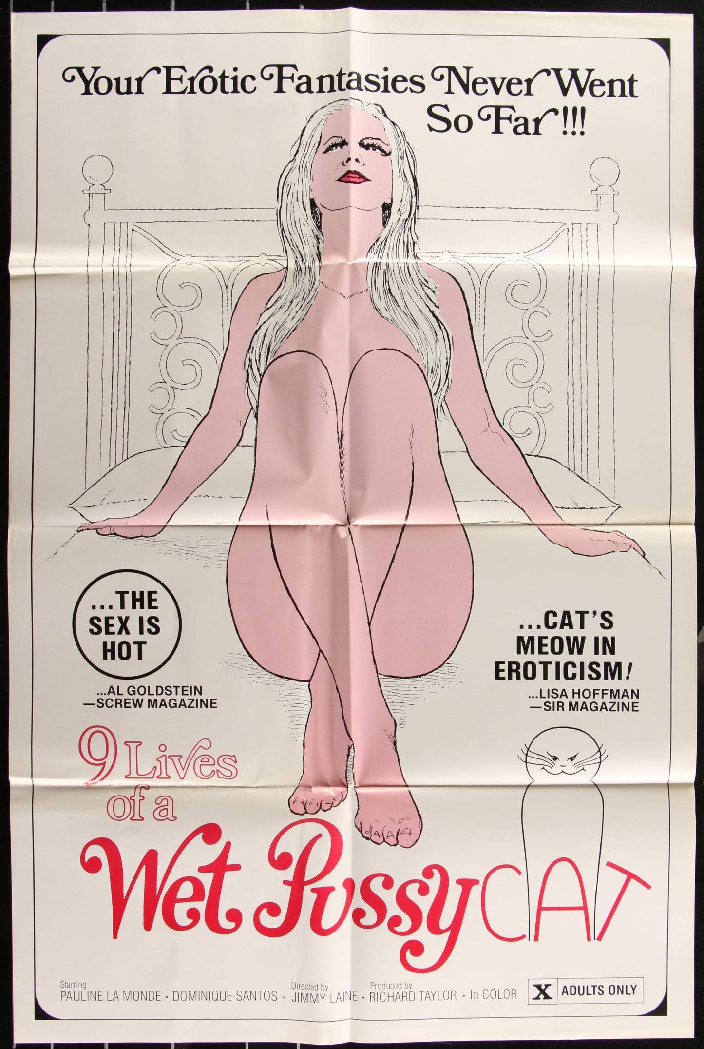 9 Lives Of A Wet Pussy Cat (1976) Original US One Sheet Movie Poster