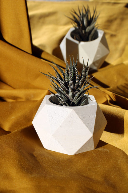 CONCRETE HEXAGONAL POT