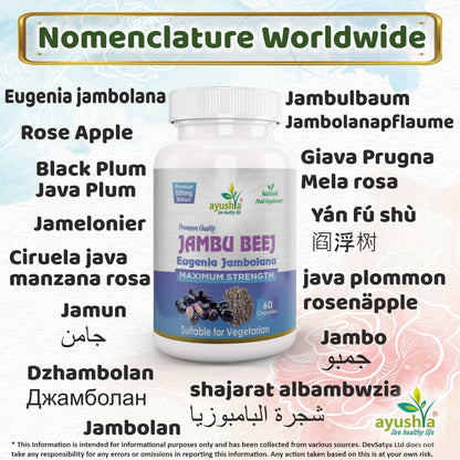 Ayushya Jambu Bij Capsules (Jamun) Glucose Wellness Support - Vegan, Gluten Free, Non-GMO, 60 Capsules