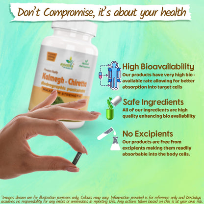 Ayushya Andrographis Kalmegh Chirata Capsules Liver & Immune Wellness Support - Vegan, Gluten Free, Non-GMO, 60 Capsules