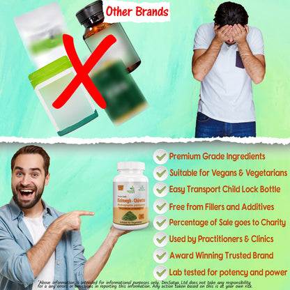 Ayushya Andrographis Kalmegh Chirata Capsules Liver & Immune Wellness Support - Vegan, Gluten Free, Non-GMO, 60 Capsules