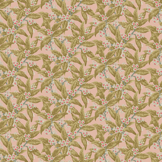 Loseley Velvet