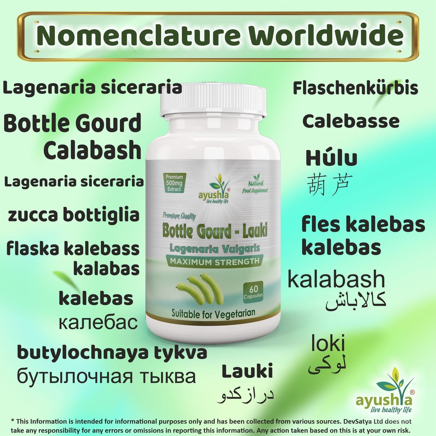 Ayushya Lauki (Bottle Gourd, Calabase) Capsules Cooling Balance & Wellness Support - Vegan, Gluten Free, Non-GMO, 60 Capsules