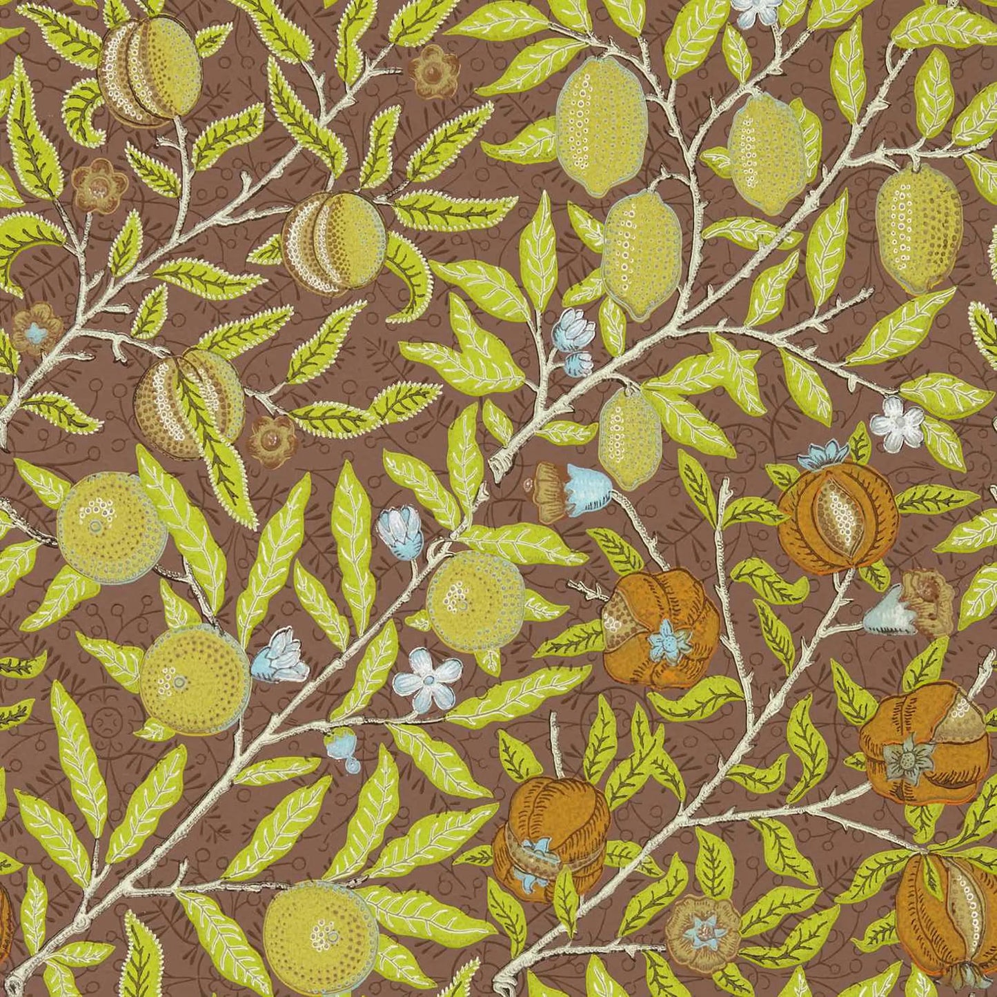 Fruit Wallpaper