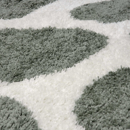 Moodi Shaggy Green Erosan Rug