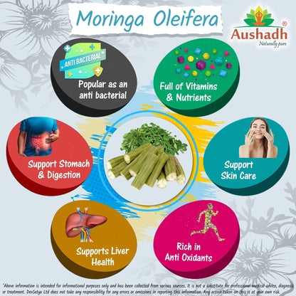 Aushadh Moringa Powder 100 gram - Daily Vitality Support