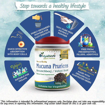 DivyaHerb Mucuna Pruriens Powder 100 gram - Daily Vitality Support