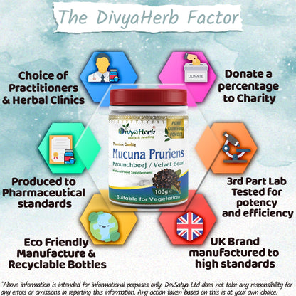 DivyaHerb Mucuna Pruriens Powder 100 gram - Daily Vitality Support