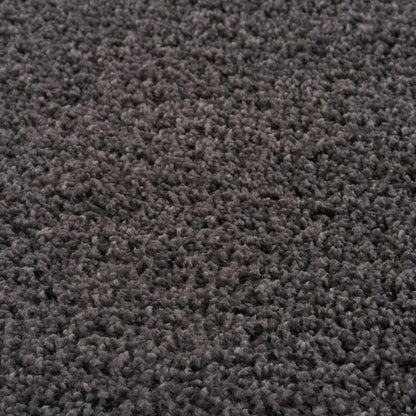 Myshaggy Solid Dark Grey Rug