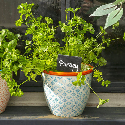 14cm Hand Printed Stoneware Plant Pot