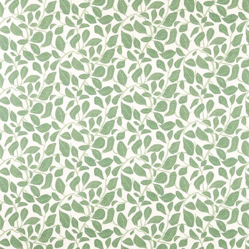 Sweet Bay Print