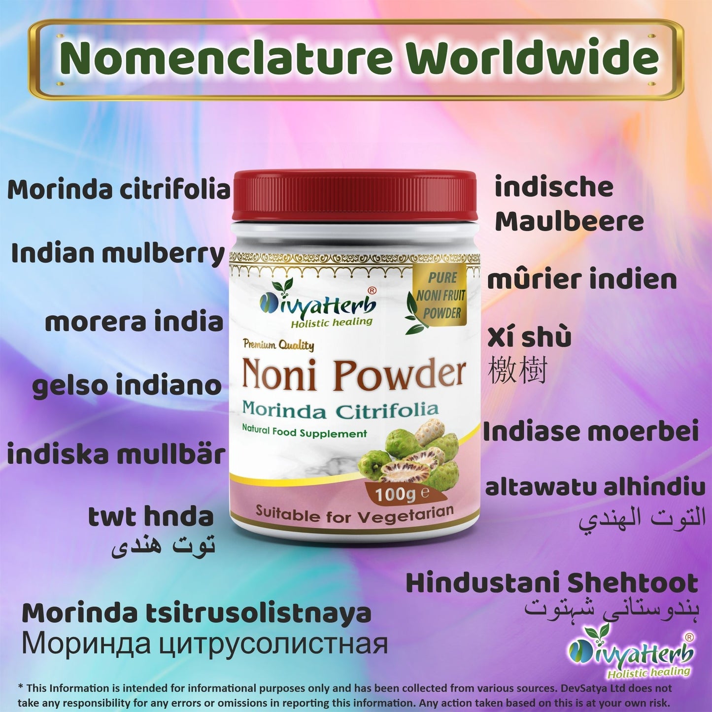 DivyaHerb Noni Powder 100 gram - Daily Wellness Support
