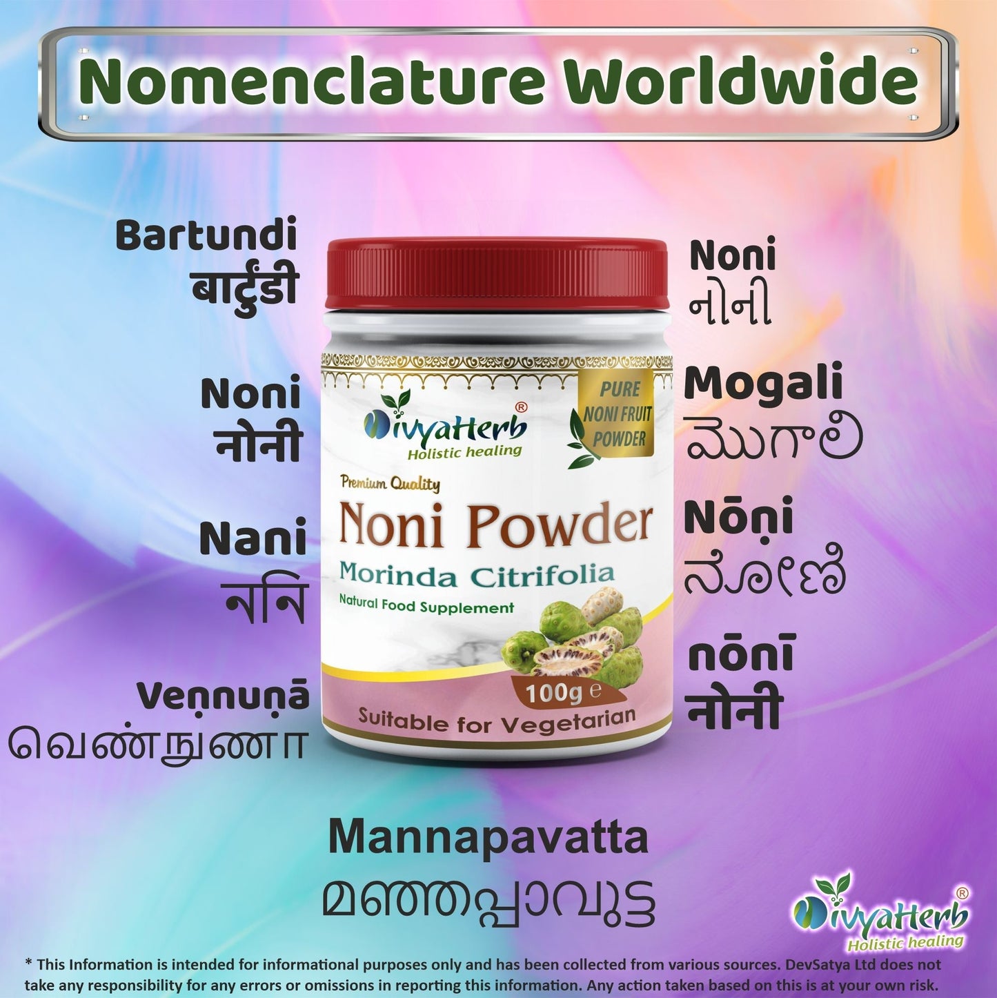 DivyaHerb Noni Powder 100 gram - Daily Wellness Support