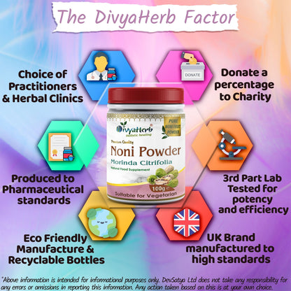 DivyaHerb Noni Powder 100 gram - Daily Wellness Support