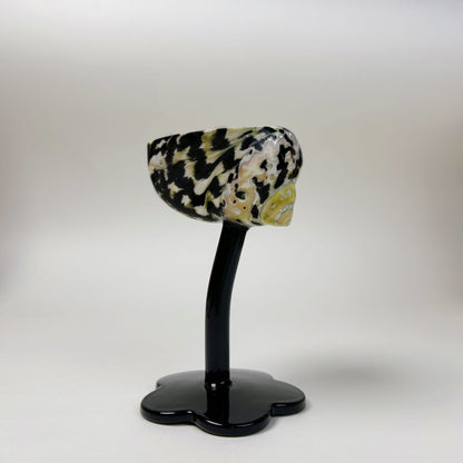 Ins Handmade Shell Conch Wine Glass Aromatherapy Dish