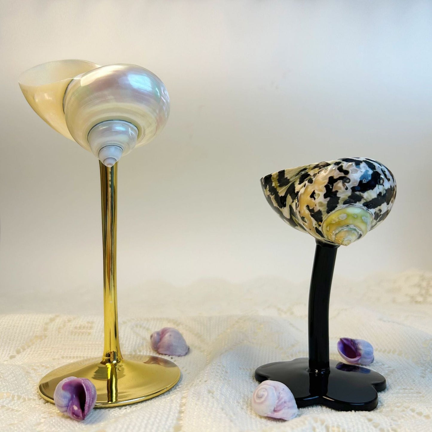 Ins Handmade Shell Conch Wine Glass Aromatherapy Dish