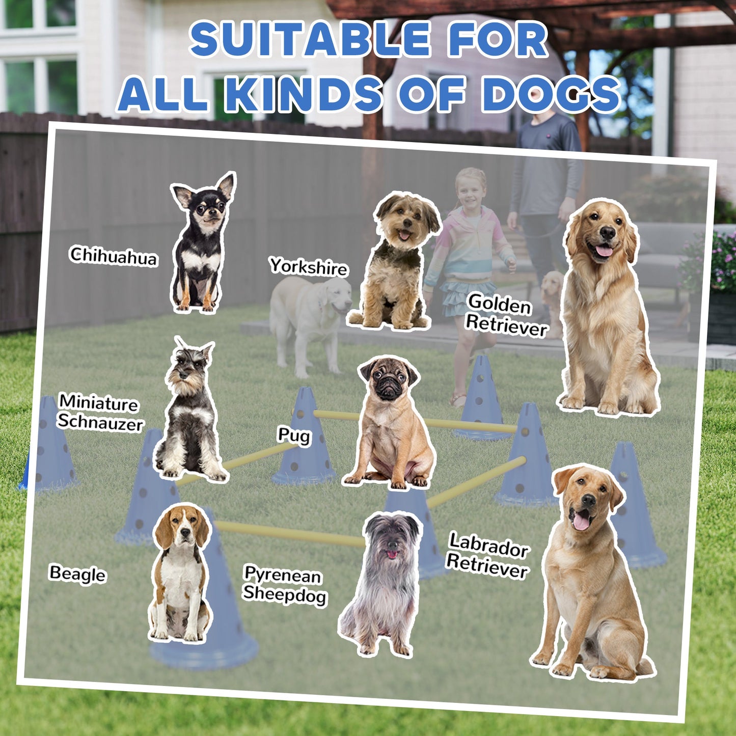 PawHut Dog Agility Equipment Set of Eight Cones, Eight Poles w/ Carry Bag, Four-Piece Adjustable Height Jumping Obstacles Blue