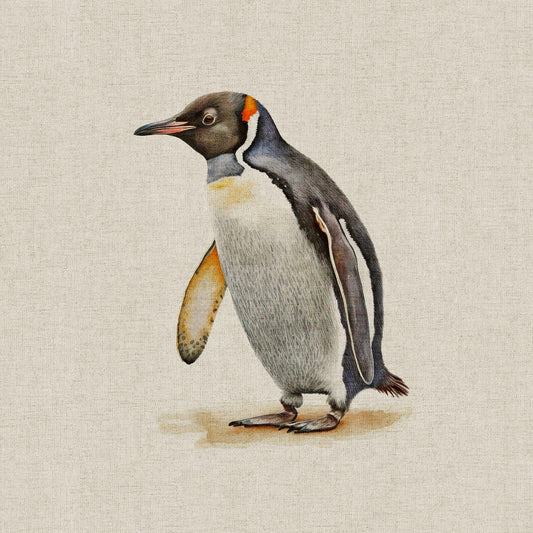 Penguin Panels