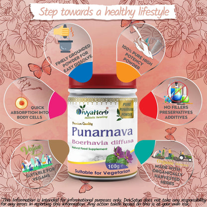DivyaHerb Punarnava Powder 100 gram - Daily Wellness Support